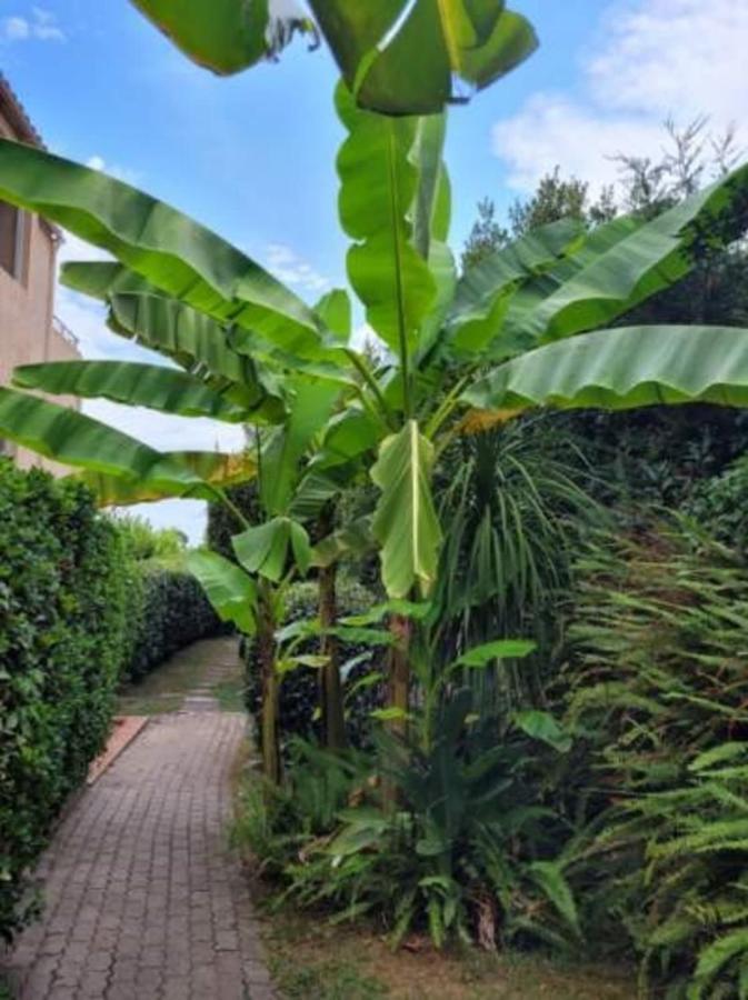 Nice Studio 30 M With Terrace And Pool Antibes Exterior foto